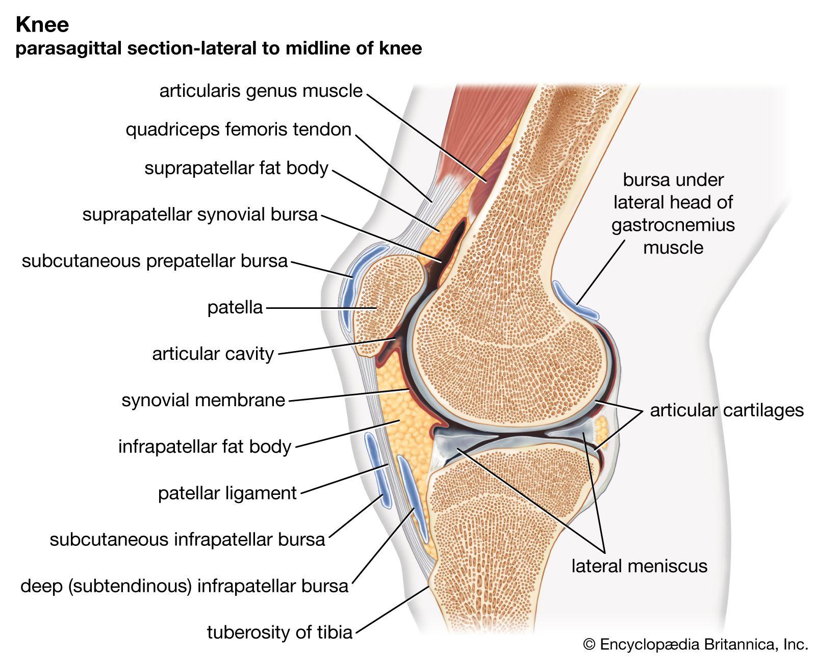 Impacts ​à long terme des défaillances des joints et isolants ‍sur la durabilité‍ des infrastructures