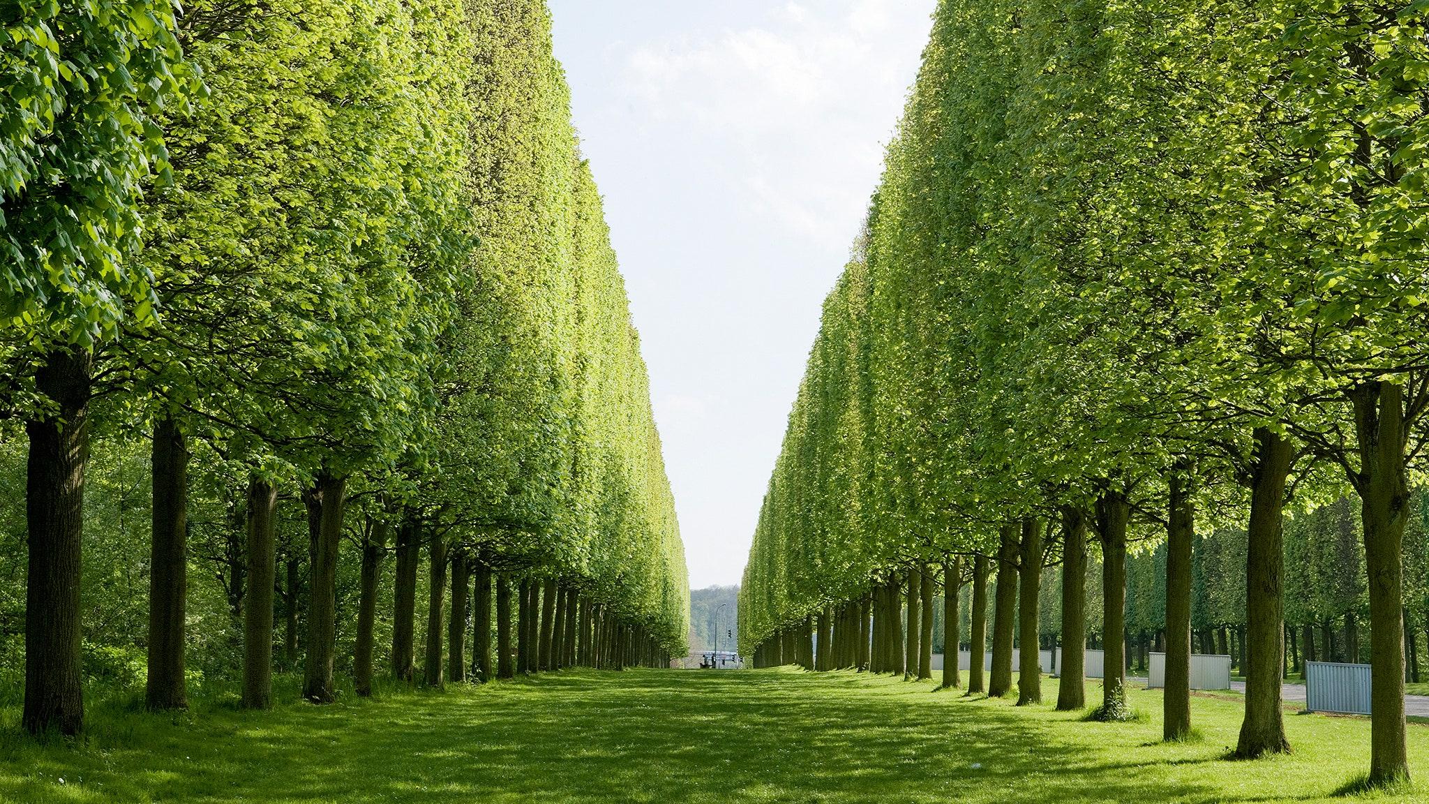 Entretenir Son Jardin avec Impact : Sélection de Produits Biologiques et Durables