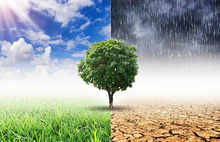 Impact‍ des​ Conditions Climatiques sur les​ Coûts dExploitation :‌ Solutions et​ Stratégies Efficaces