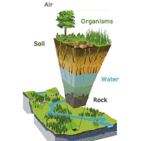 Comprendre les Caractéristiques des Sols : ⁣Un Guide Complet pour le Choix des Terres Agronomiques